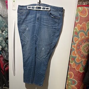 a.n.a Women’s Blue Jeggings Stretch Denim